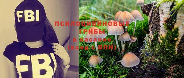 PSILOCYBIN Абинск