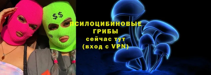 Галлюциногенные грибы Psilocybine cubensis  Балахна 